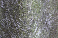 Uppacott fibreglass roof work